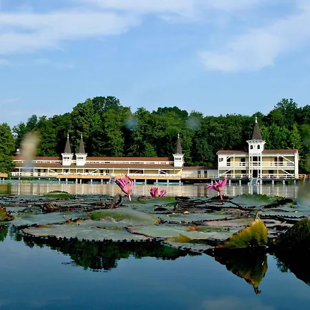 In - Balaton 18292 *