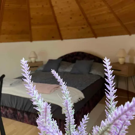 In - Balaton 18292 *