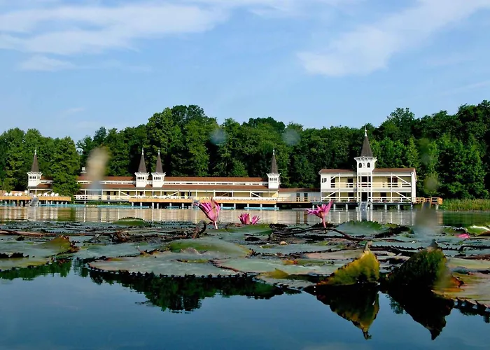 In - Balaton 18292 *