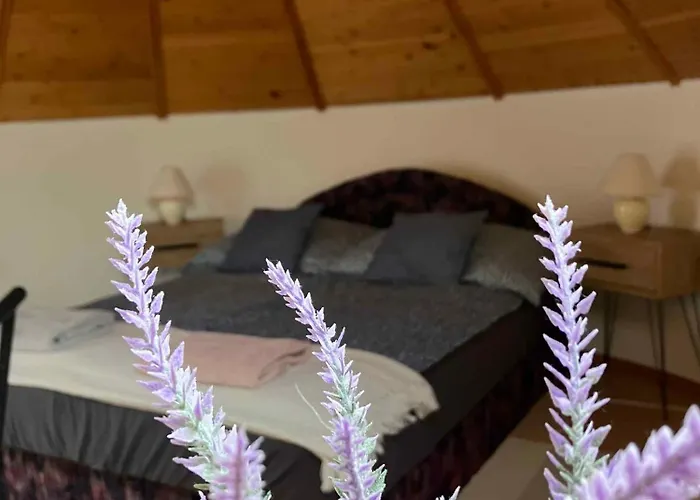 In - Balaton 18292 *